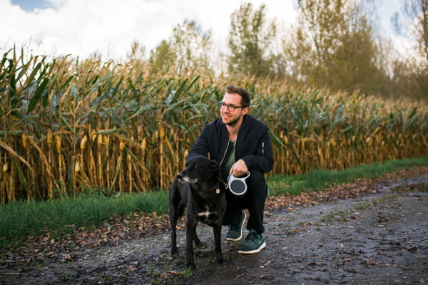 hundetraining online vergleich