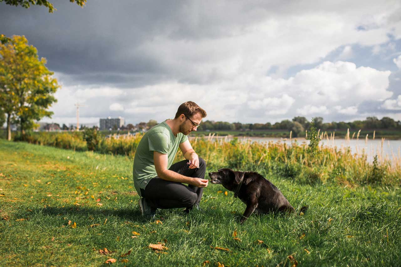 hund platz beibringen