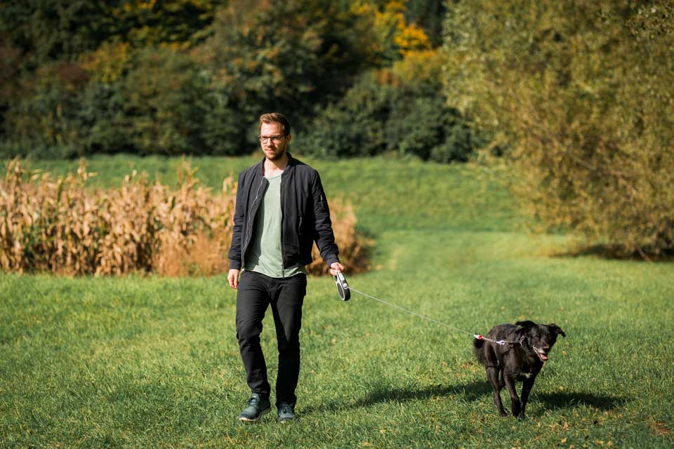 hund zieht an der leine nichts hilft