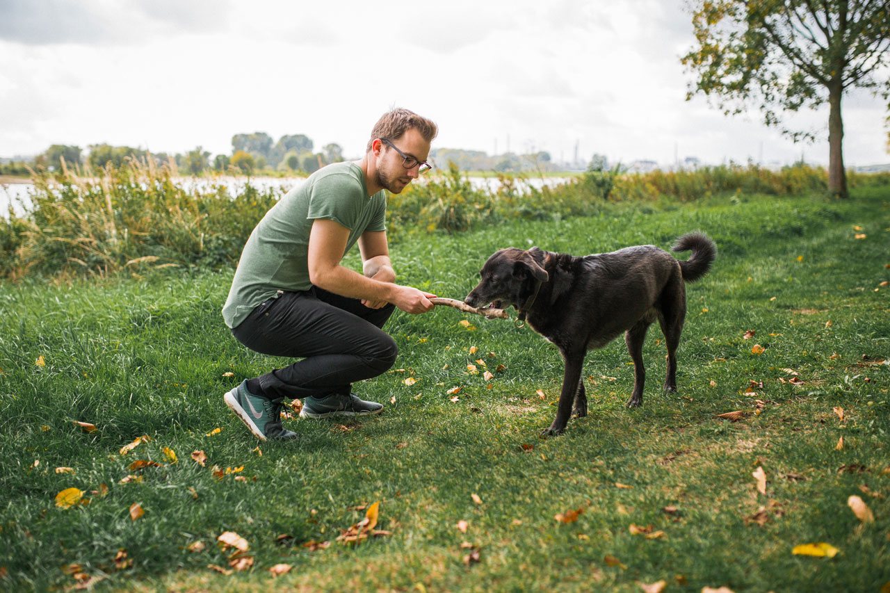 online hundeschule test