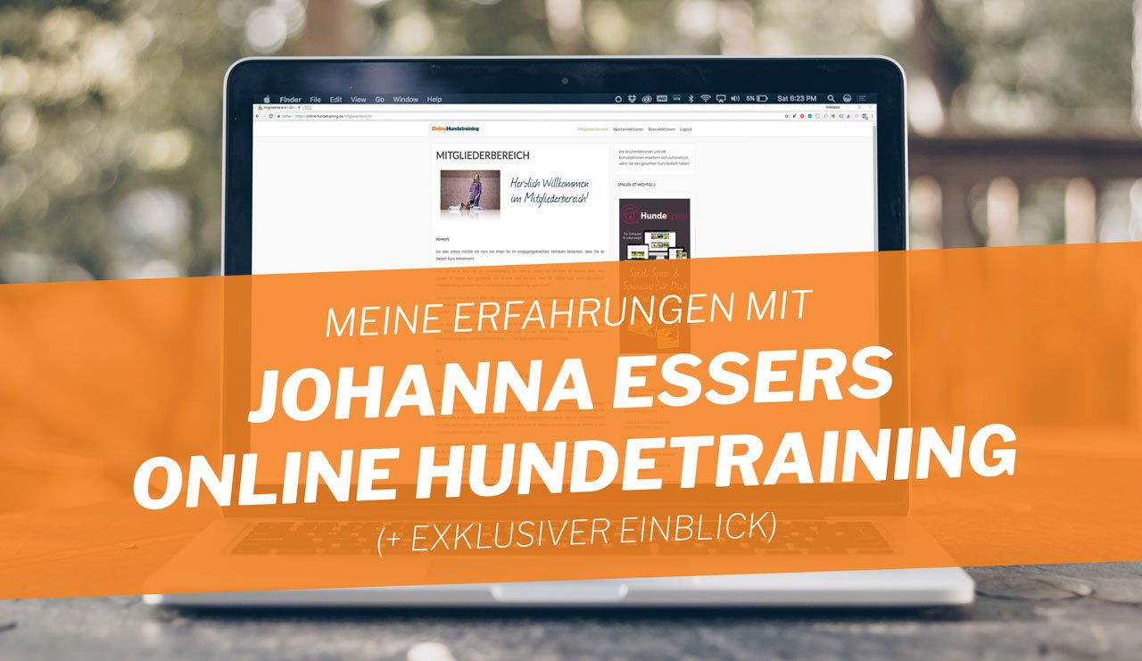 online hundetraining johanna esser