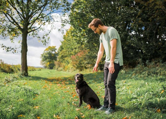 wie erziehe ich meinen hund