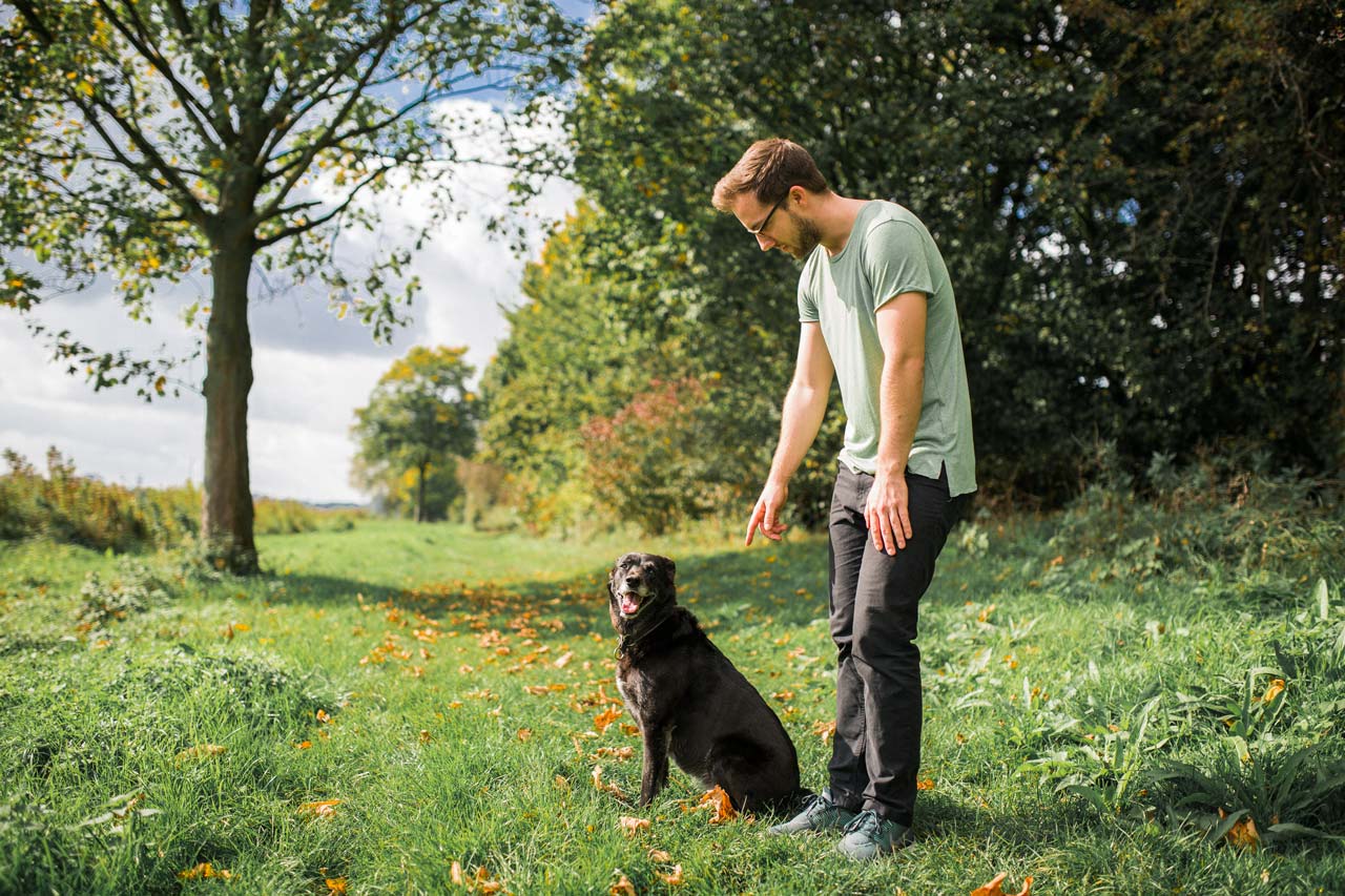 wie erziehe ich meinen hund