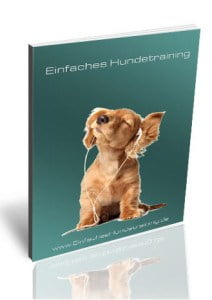 einfaches hundetraining