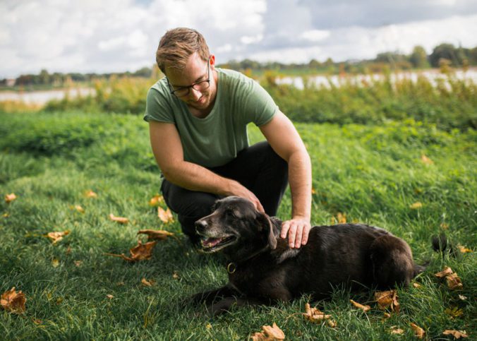 hund streicheln als belohnung