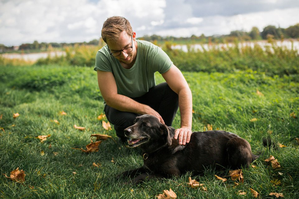 hund streicheln als belohnung