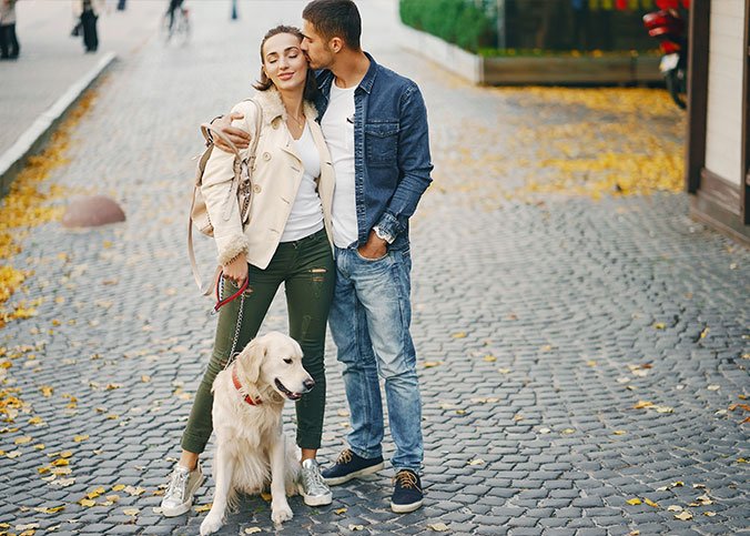 Golden Retriever Charakter Erziehung