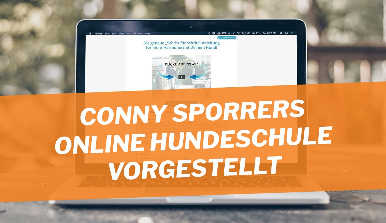 Conny Sporrer Hundeschule Erfahrungen