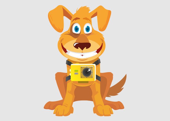 Kamera für Hundeüberwachung