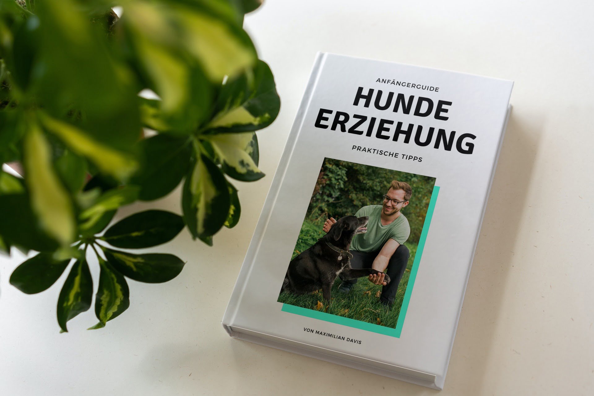 Hundeerziehung Ebook