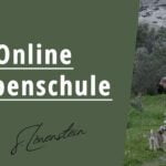 Online Welpenschule