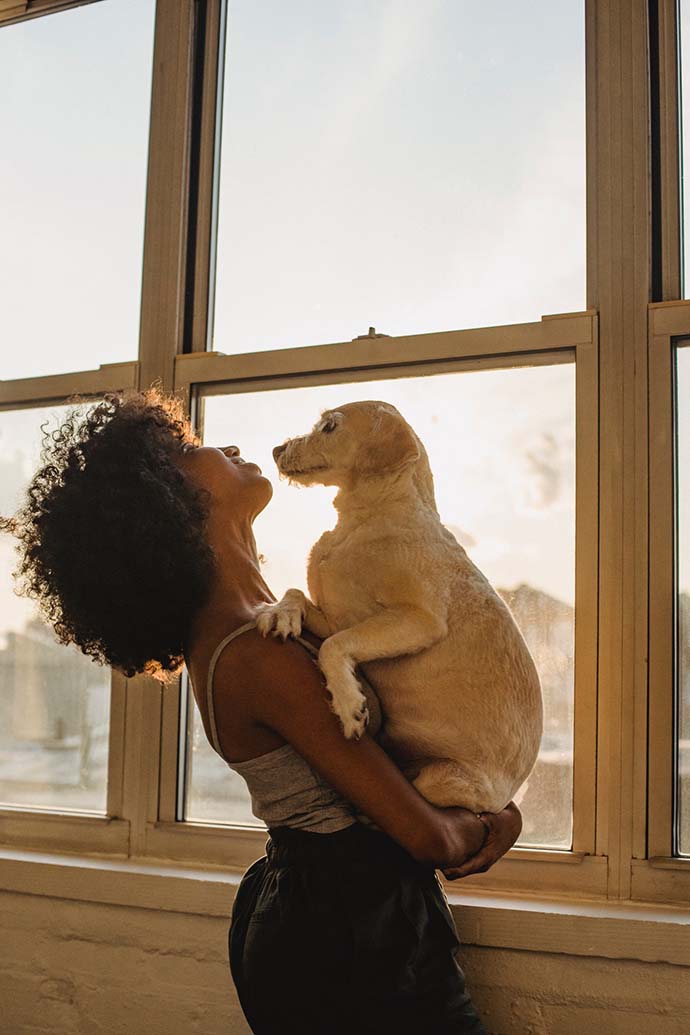 Hundehaftpflicht Helden de Erfahrungen