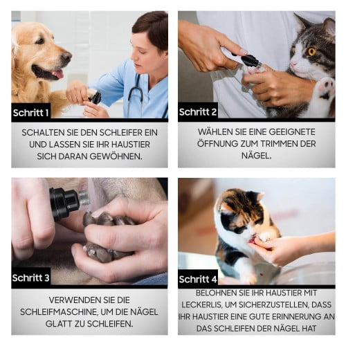 so hundekrallen schleifen
