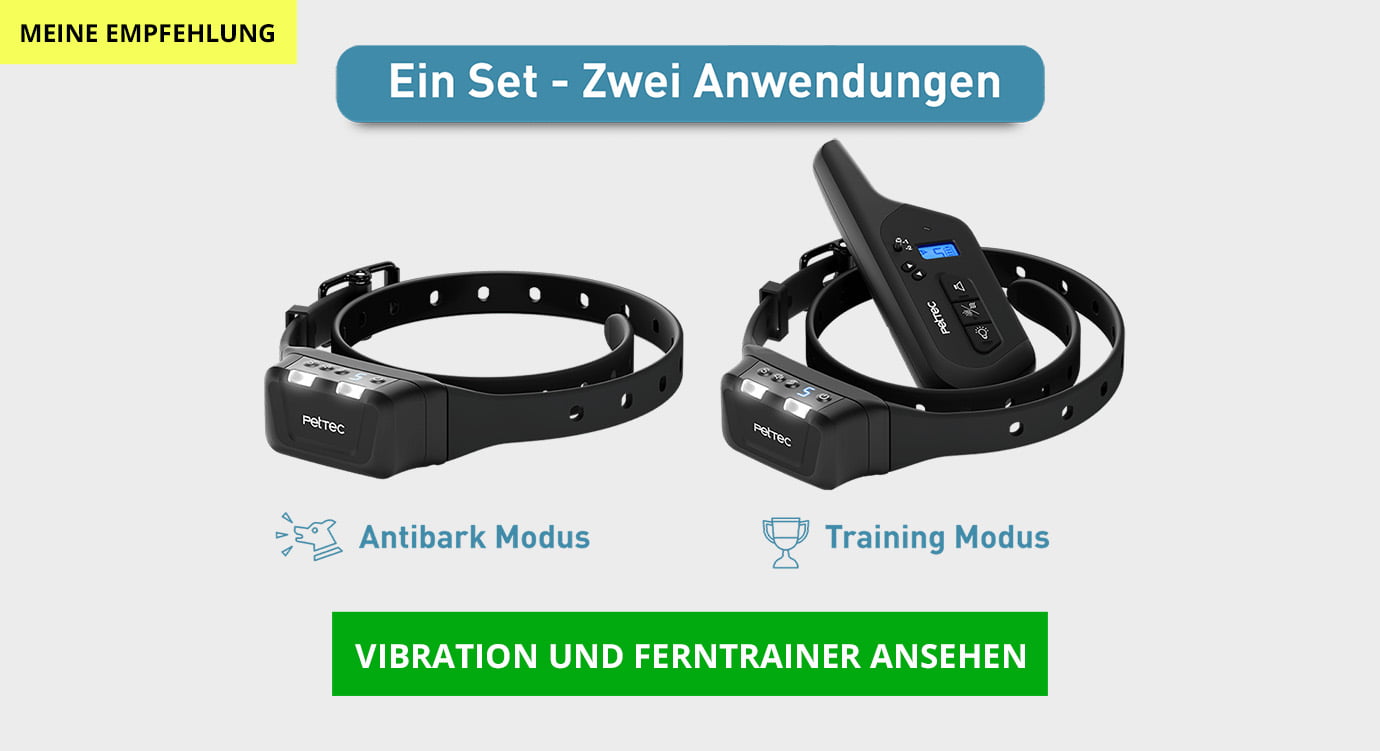 ferntrainer halsband