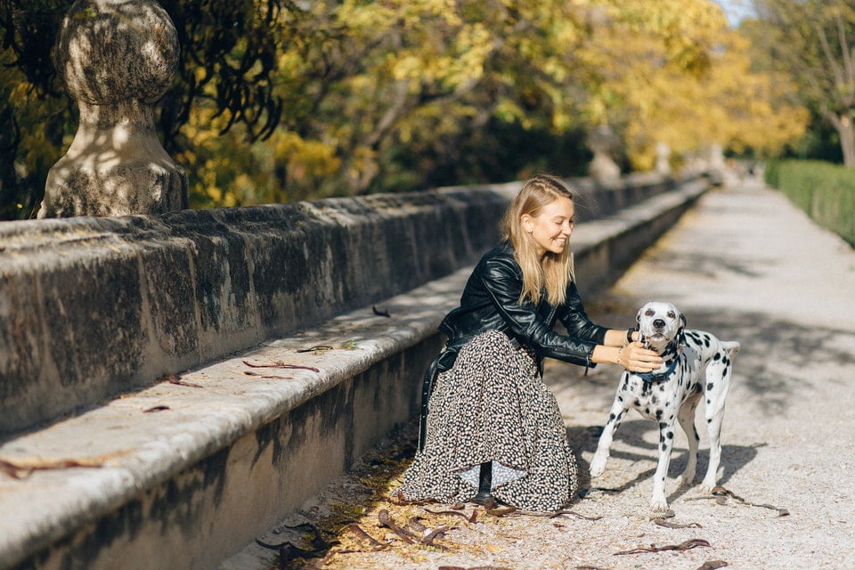 Freude mit dem Hund