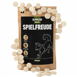 Spielfreude
