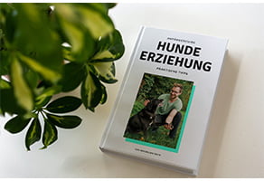 Hundeerziehung buch