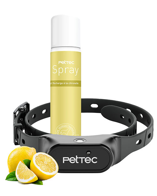 Anti Bell Halsband Erfahrungen Pro & Kontra [2023]